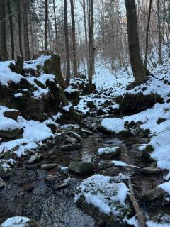 Dom w górach Zacisze lasu - 6