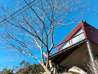 Casa de Santa Luzia - 8