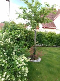 Les Pluviers en Baie - 7