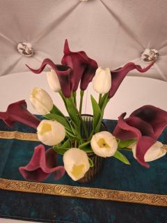 Studio apartman Franka - 1