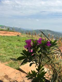 Hilltop Haven Mpigi - 1