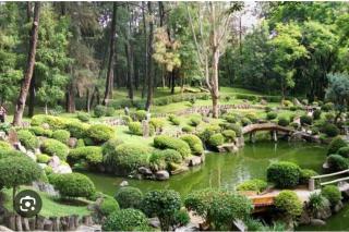 Casa Colomos, a residential area with a garden - 7