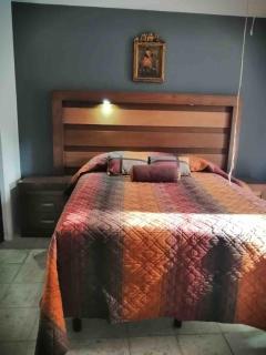 Casa Colomos, a residential area with a garden - 5