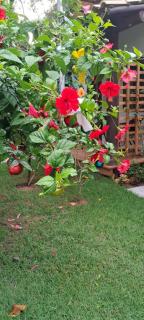 Azevim Suítes Alto de Pitinga - 9