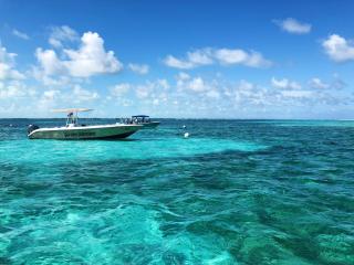 Enjoy Savings Oceanfront Private Estate By Alom - 7