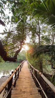 Steps To The Surf - Beachside 2BHK in Mandrem - 0