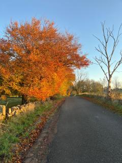 Waterside Cottages - 6