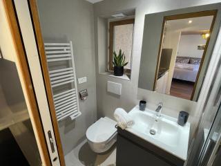 Panorama Saleve - Swiss Border - Bus to Geneva - 3