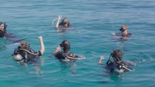 Mohéli Laka Lodge Beach and Diving Resort - Mohéli - 4