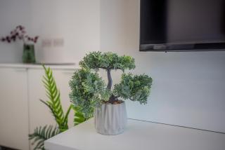 Sarah's Penthouse in Sliema - 1