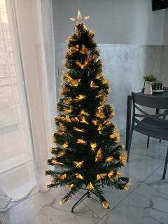 LaVenere da Gigi e Patty - 9