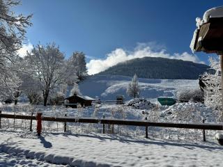 Berg Fux - Ferienwohnung Francis der Esel - 8