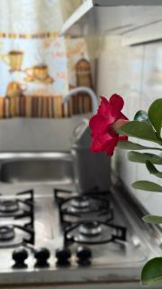 Kitnet Monoambiente 8Km aduana PY 6Km centro Boa localização - 2