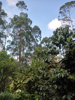 Descanso Rural Colombia - 8