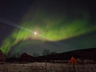 Apartement with free sauna and northern light - 7