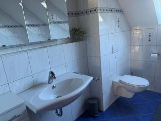 Stylish apartment near Rheinfall Schaffhausen - 8