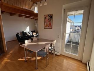 Stylish apartment near Rheinfall Schaffhausen - 5
