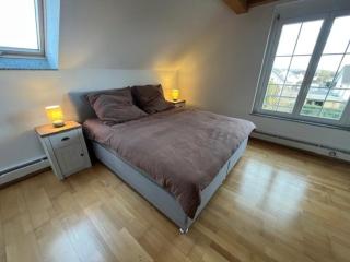 Stylish apartment near Rheinfall Schaffhausen - 0
