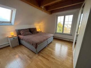 Stylish apartment near Rheinfall Schaffhausen - 3