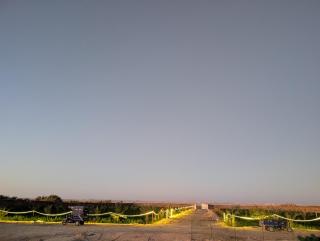 Wonder Bird Hotel - 5