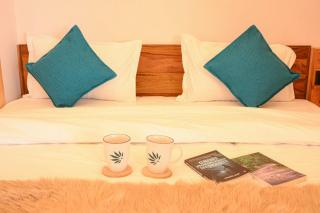 Dorchester Woods Sylverton - 5