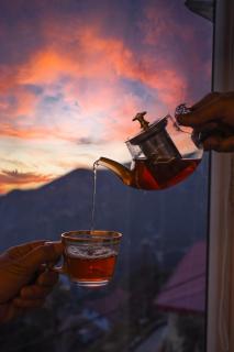 Dorchester Woods Sylverton - 4