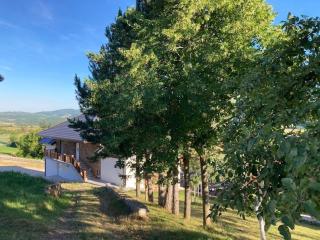 Apartments Zvezda Zlatar 3 Units - 6