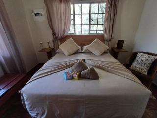 Impala Lily Kaya - 9