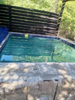 Impala Lily Kaya - 5