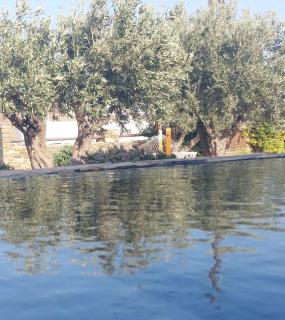 Tinos Blend Suites - 9