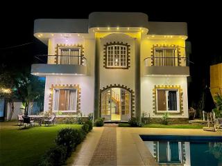 Private Luxury Villa -pool & spacious garden - 9