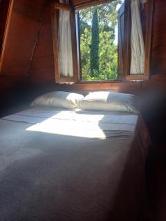 ALPINO DEL BOSQUE - 6