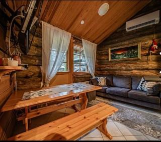 Cozy and peaceful apartment with sauna in Levi for 5 - 9