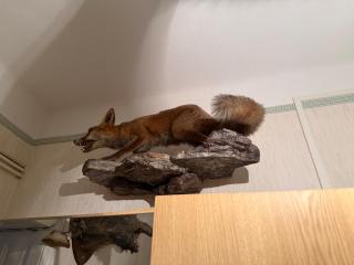 Old-School Hunting Apartment - 7