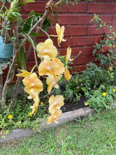 Quarto em casa aconchegante - 1