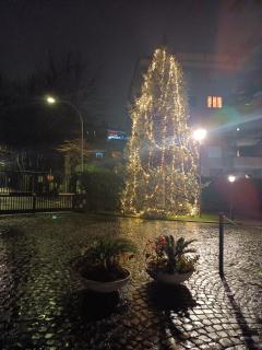 Le Terrazze della Farnesina Policlinico Gemelli Roma - Rome - 7