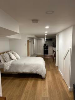Lower level newly renovated studio apartment in central downtown location - 7