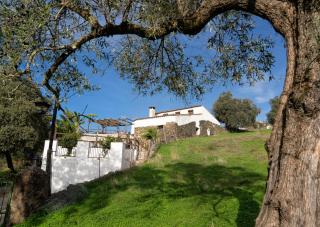 Mirador de Santa Ana - 1