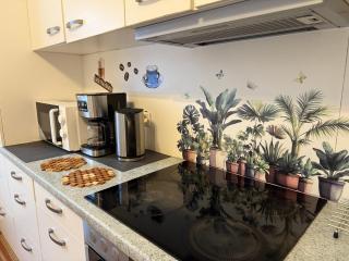 Nice Ferienwohnung Bayreuth - 4