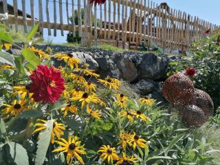 Ferienhof Hefele Ferienwohnung Hopfensee mit KönigsCard - 7