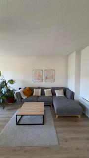 Appt lumineux proche centre - 0