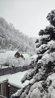 Cabana Montis River - 8