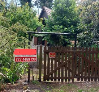 ALPINO DEL BOSQUE - 1