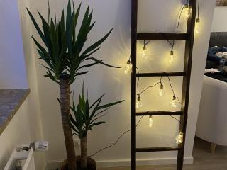 Haus Medemsand, Whg 209-Meeresrauschen - 5