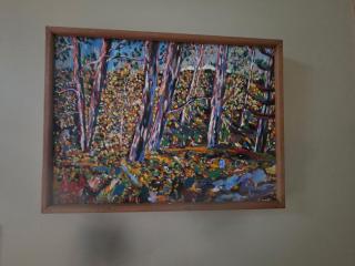 Five Star-Amazing views and Hot Tub - 1