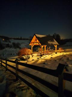 Leśna Przystań - Domki całoroczne - 3