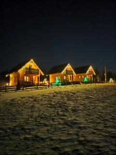 Leśna Przystań - Domki całoroczne - 7