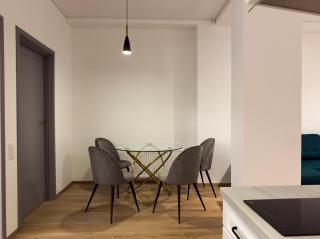 Kaunas center, fountain, terrace first flor 2 bed - 5