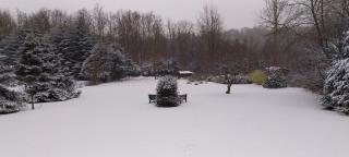 Hochwald appartement - 7