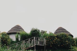 African Tent Resort - 4